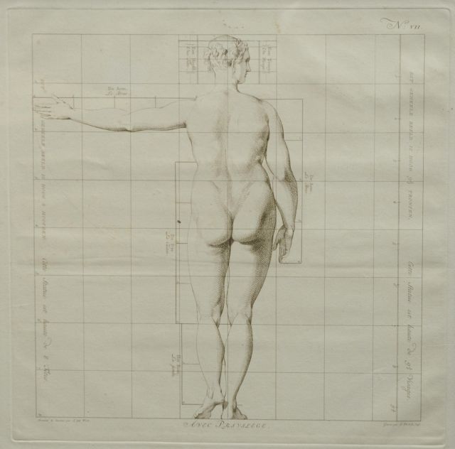 Wit J. de | De ideale proporties van het menselijk lichaam - Vrouw (no.VII), gravure op papier 40,0 x 40,0 cm